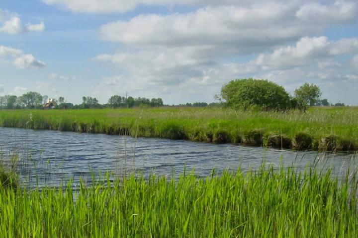 Brekkenpolder